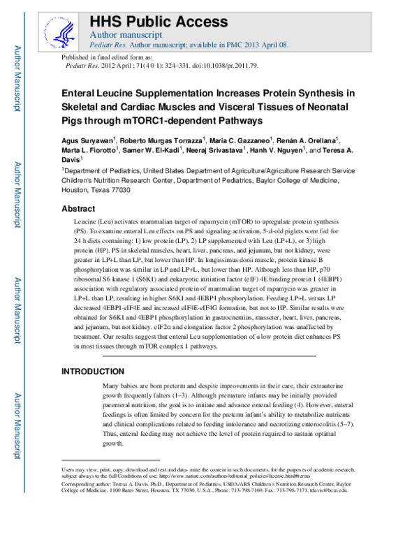 (PDF) Enteral leucine supplementation increases protein synthesis in ...