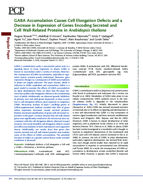 (PDF) GABA Accumulation Causes Cell Elongation Defects and a Decrease ...
