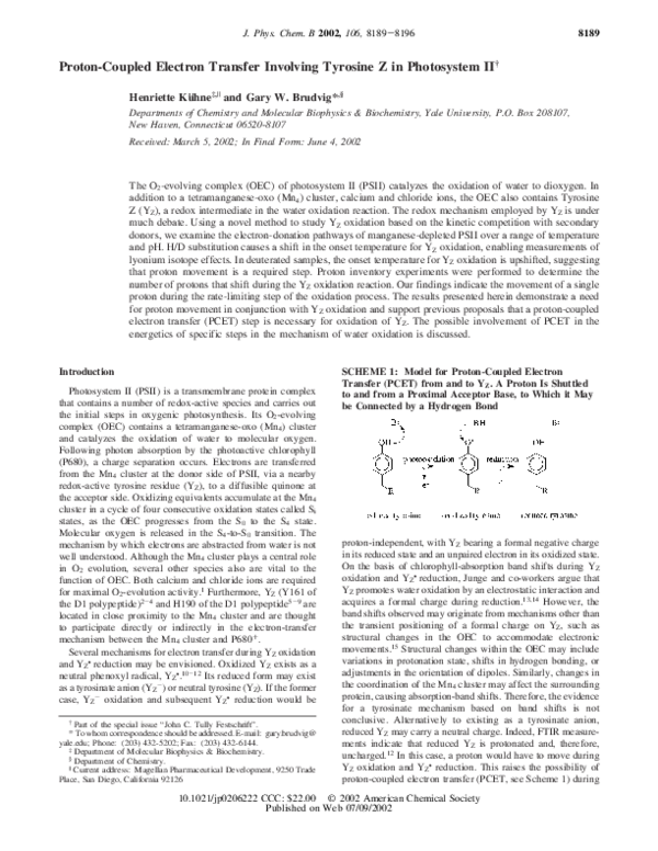 (PDF) Proton-Coupled Electron Transfer Involving Tyrosine Z in ...