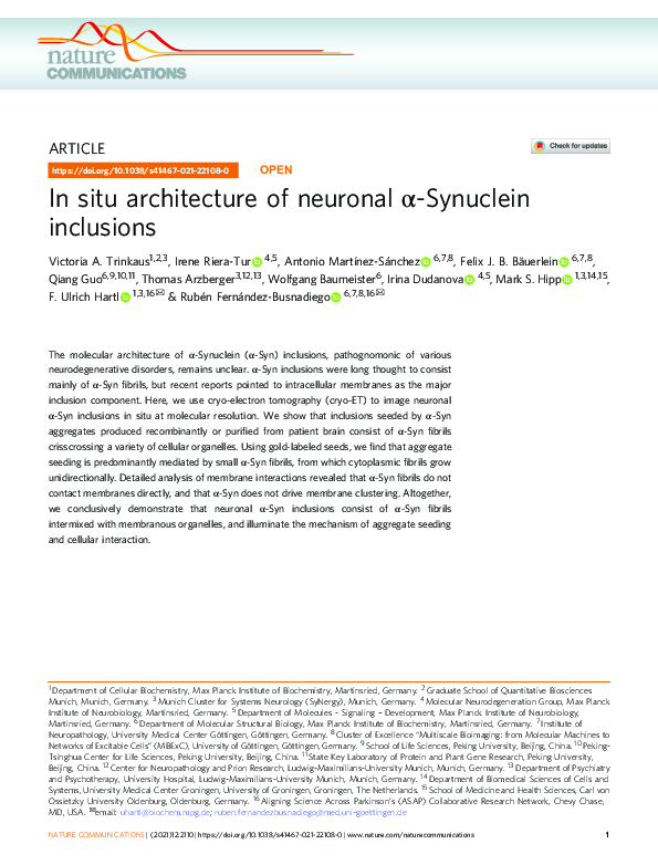 (PDF) In situ architecture of neuronal α-Synuclein inclusions