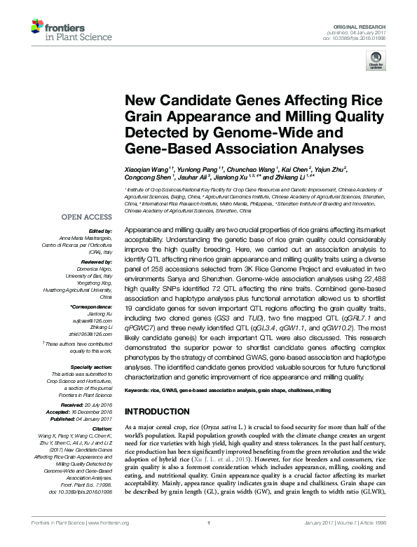 (PDF) New Candidate Genes Affecting Rice Grain Appearance and Milling ...