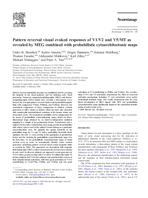 (PDF) Pattern reversal visual evoked responses of V1/V2 and V5/MT as ...