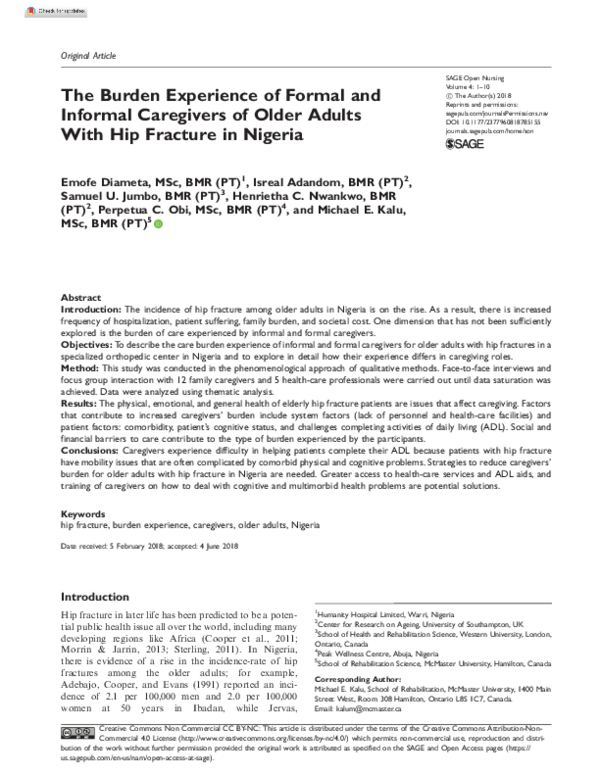 (PDF) The Burden Experience of Formal and Informal Caregivers of Older ...