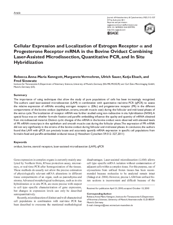 (PDF) Cellular Expression and Localization of Estrogen Receptor and ...