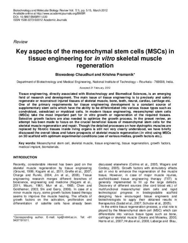 (PDF) Key aspects of the mesenchymal stem cells (MSCs) in tissue ...