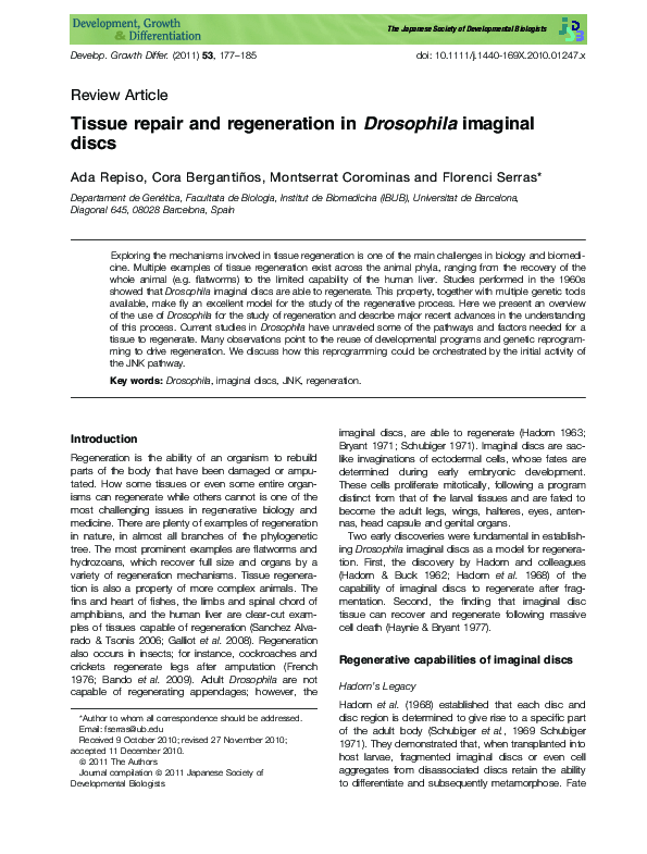 (PDF) Tissue repair and regeneration in Drosophila imaginal discs