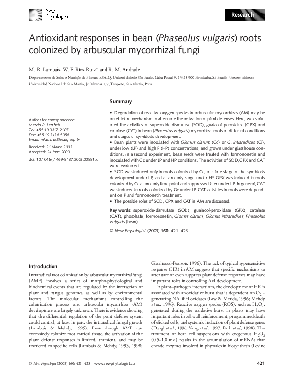 (PDF) Antioxidant responses in bean (Phaseolus vulgaris) roots ...