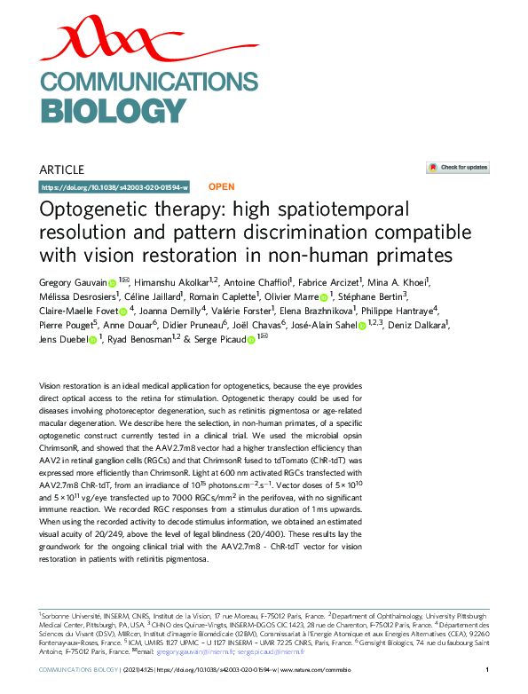 (PDF) Optogenetic therapy: high spatiotemporal resolution and pattern ...