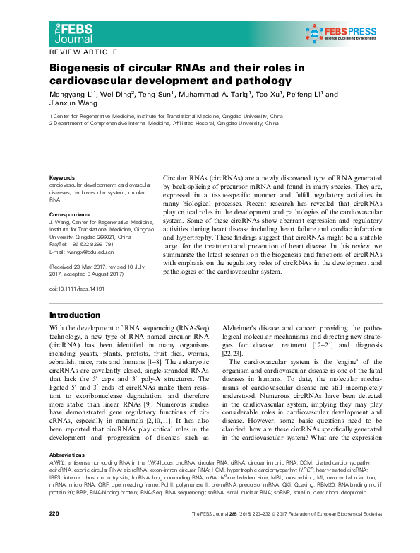 (PDF) Biogenesis of circular RNAs and their roles in cardiovascular ...
