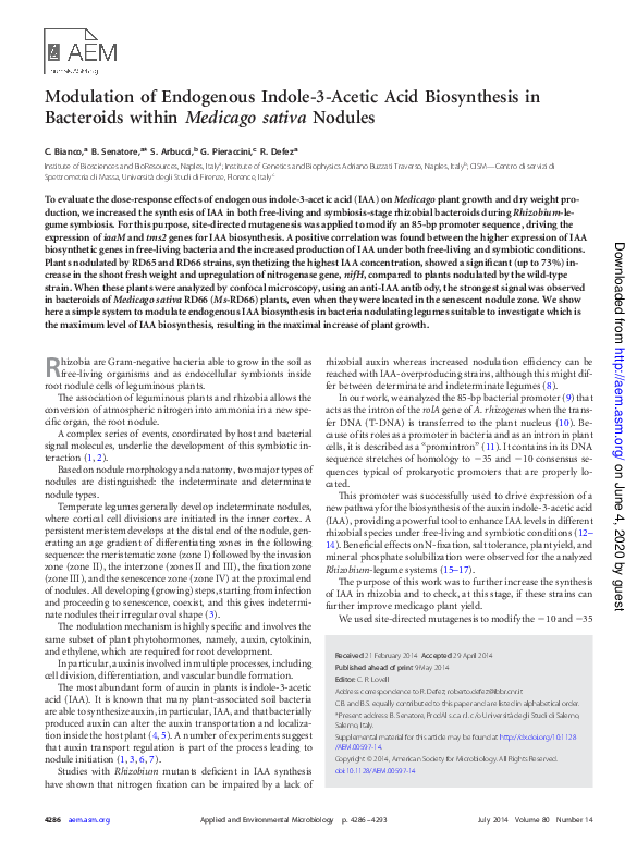 (PDF) Modulation of endogenous indole-3-acetic acid biosynthesis in ...