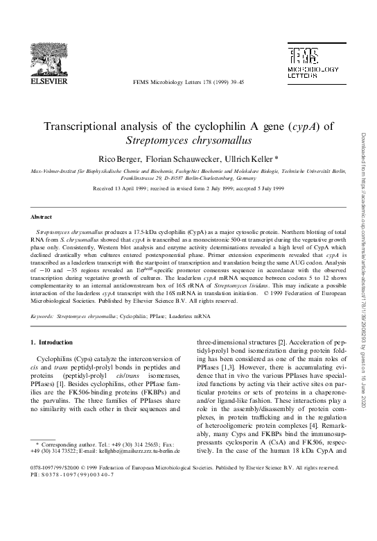 (PDF) Transcriptional analysis of the cyclophilin A gene ( cypA ) of ...