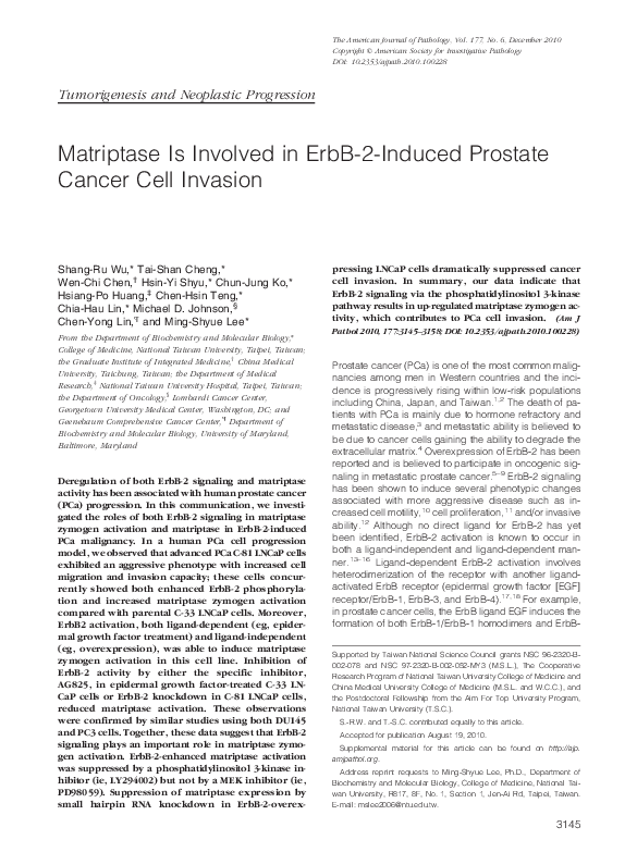(PDF) Matriptase Is Involved in ErbB-2-Induced Prostate Cancer Cell ...
