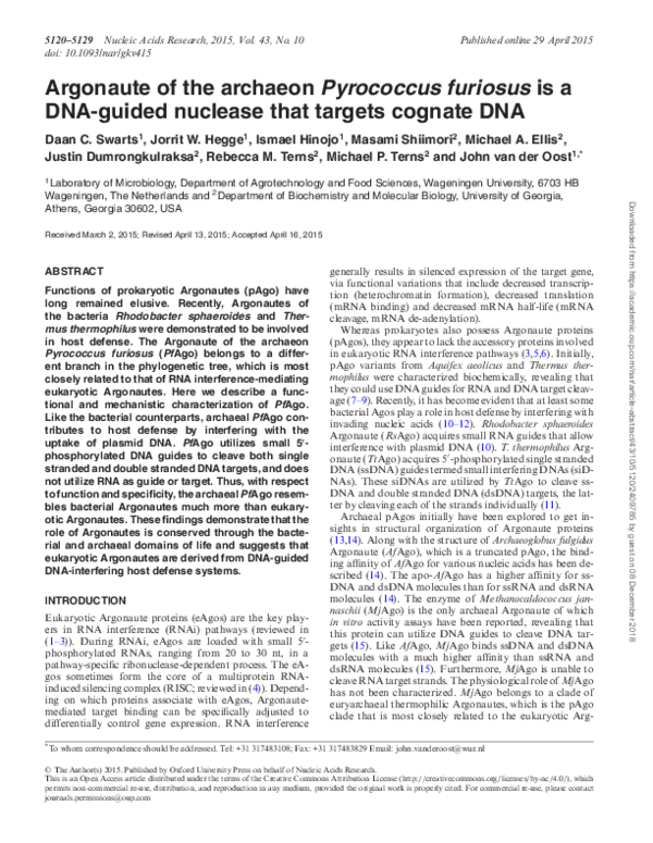 (PDF) Argonaute of the archaeon Pyrococcus furiosus is a DNA-guided ...