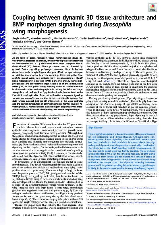 (PDF) Coupling between dynamic 3D tissue architecture and BMP morphogen ...