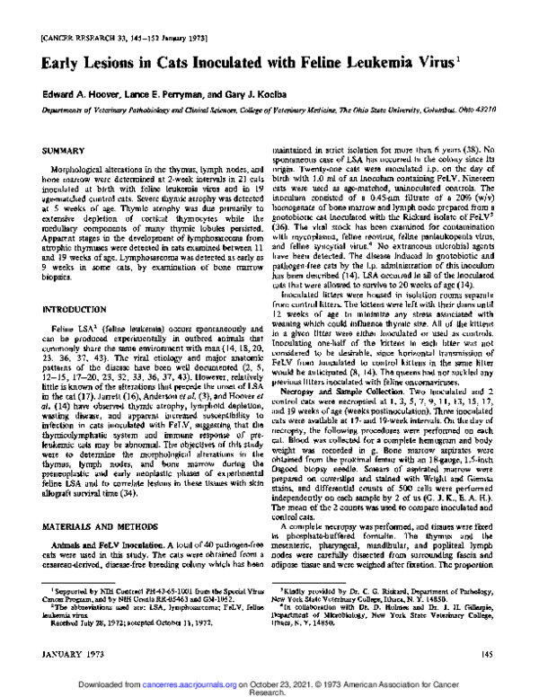 (PDF) Early lesions in cats inoculated with feline leukemia virus - Feline Leukemia Virus Outbreak Studies And Records