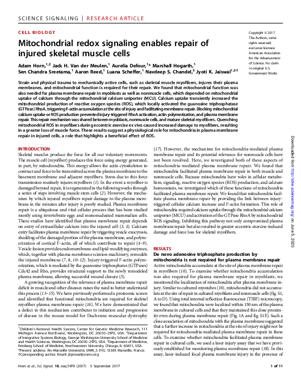 (PDF) Mitochondrial redox signaling enables repair of injured skeletal ...