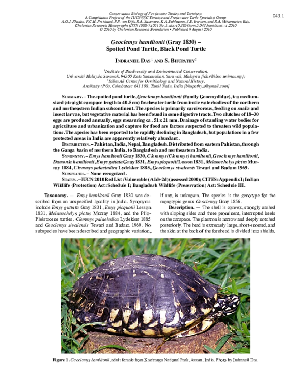 Pdf Geoclemys Hamiltonii Gray 10 Spotted Pond Turtle Black Pond Turtle Indraneil Das Academia Edu