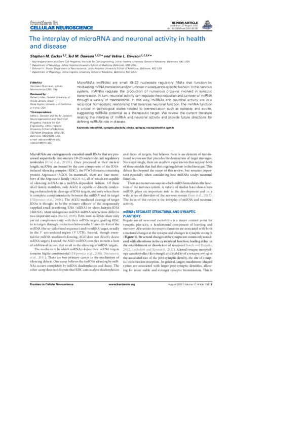 (PDF) The interplay of microRNA and neuronal activity in health and disease