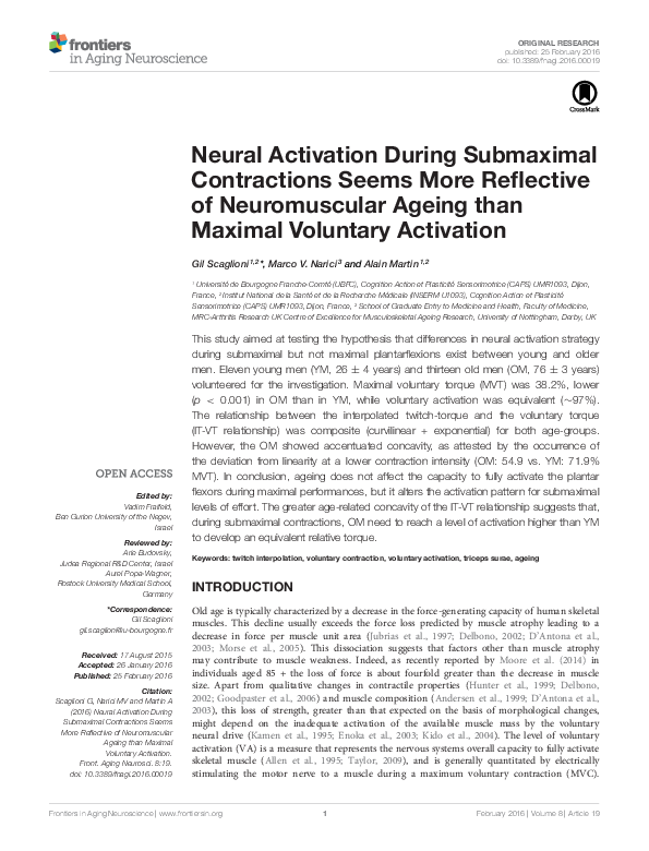 (PDF) Neural Activation During Submaximal Contractions Seems More ...