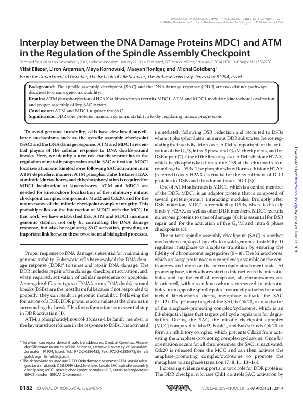(PDF) Interplay between the DNA Damage Proteins MDC1 and ATM in the ...