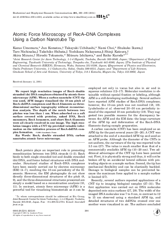(PDF) Atomic Force Microscopy of RecA–DNA Complexes Using a Carbon ...