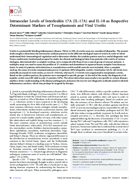 (PDF) Intraocular Levels of Interleukin 17A (IL-17A) and IL-10 as ...