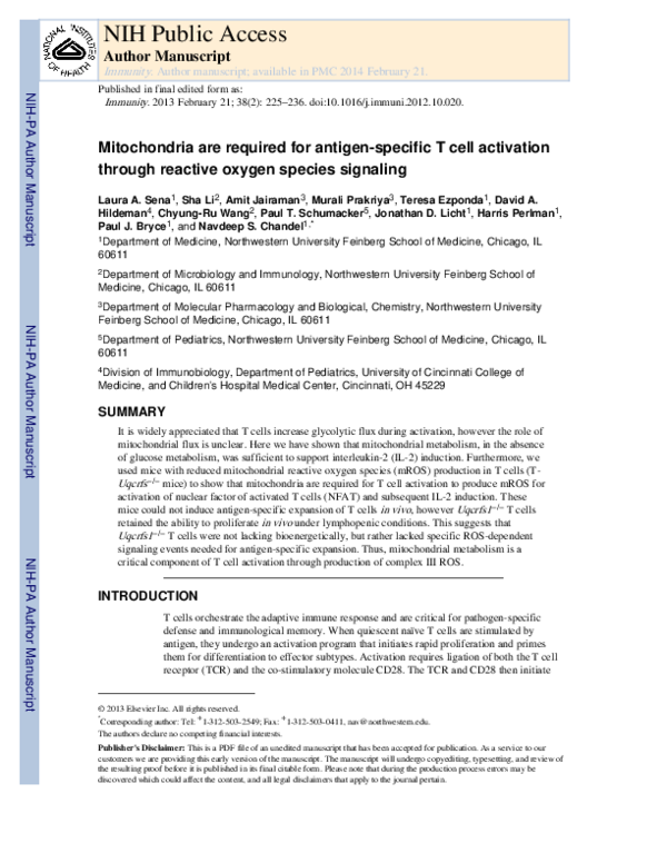 (PDF) Faculty of 1000 evaluation for Mitochondria Are Required for ...