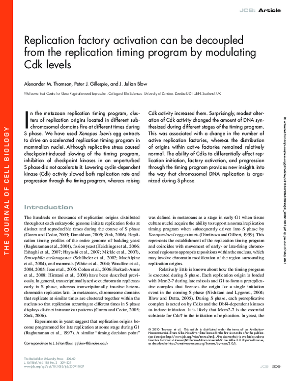 (PDF) Replication factory activation can be decoupled from the ...