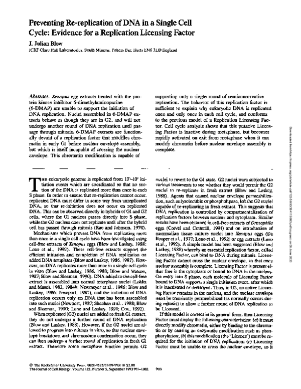 (PDF) Preventing re-replication of DNA in a single cell cycle: evidence ...