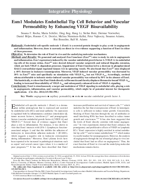 (PDF) Esm1 modulates endothelial tip cell behavior and vascular ...