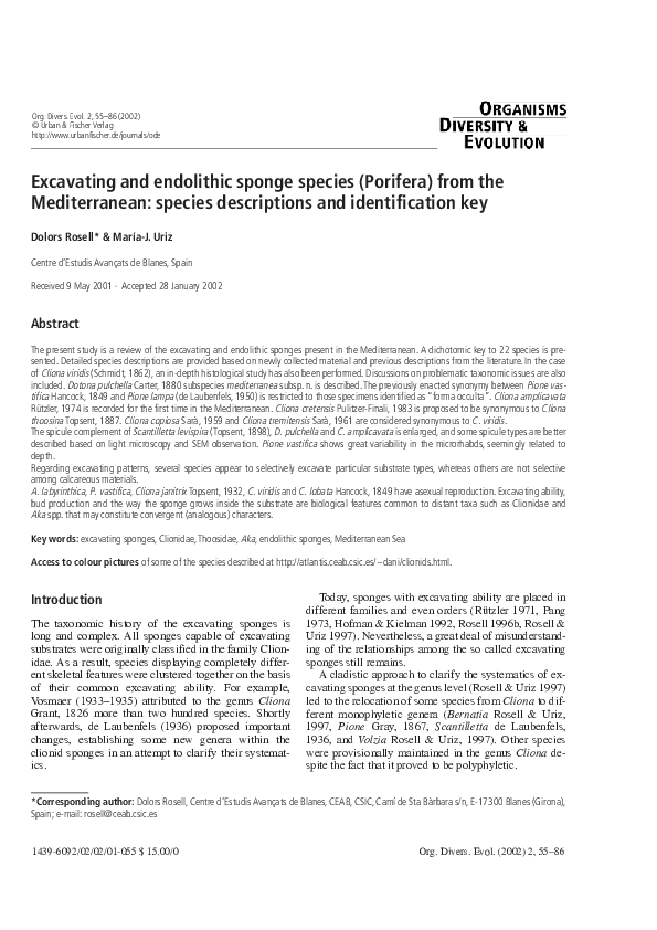 (PDF) Excavating and endolithic sponge species (Porifera) from the ...