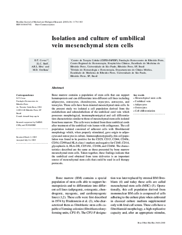 (PDF) Isolation and culture of umbilical vein mesenchymal stem cells