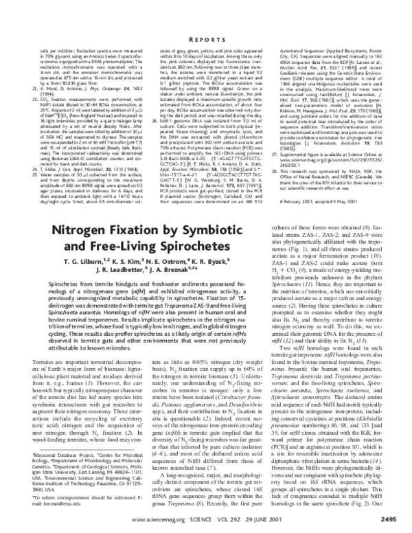 (PDF) Nitrogen Fixation by Symbiotic and Free-Living Spirochetes