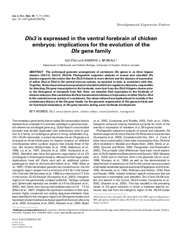 (PDF) Dlx3 is expressed in the ventral forebrain of chicken embryos ...