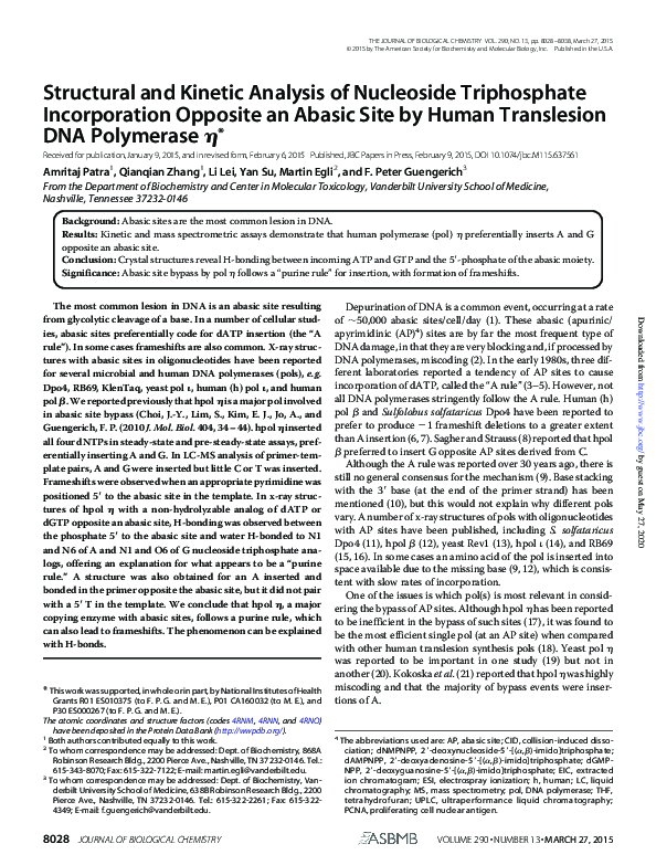 (PDF) Structural and Kinetic Analysis of Nucleoside Triphosphate ...