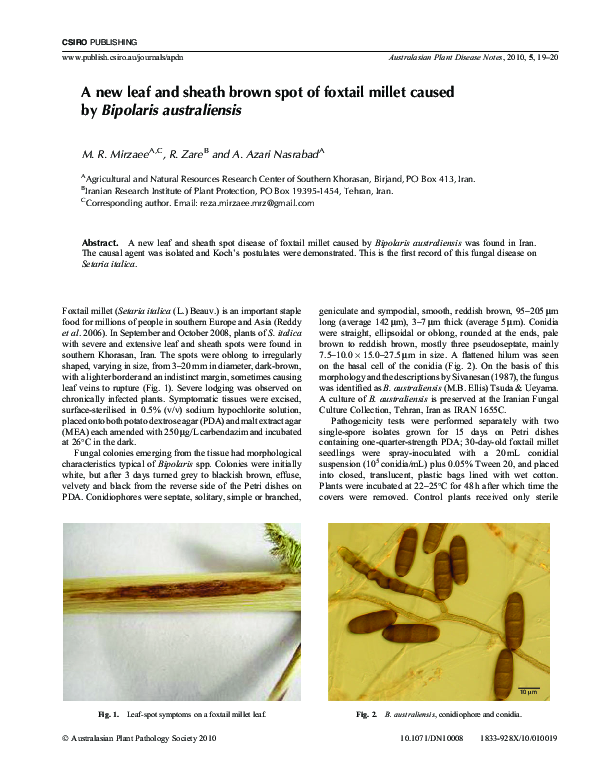 (PDF) A new leaf and sheath brown spot of foxtail millet caused by ...