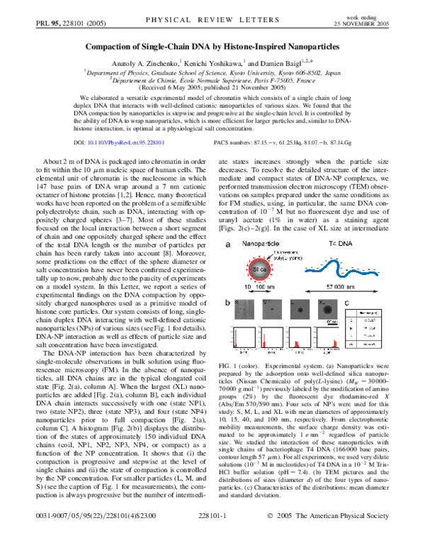 (PDF) Compaction of Single-Chain DNA by Histone-Inspired Nanoparticles