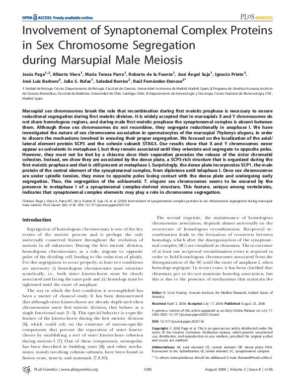 (PDF) Involvement of synaptonemal complex proteins in sex chromosome ...