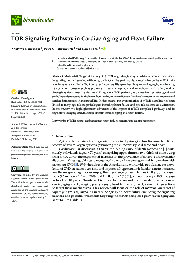 (PDF) TOR Signaling Pathway in Cardiac Aging and Heart Failure