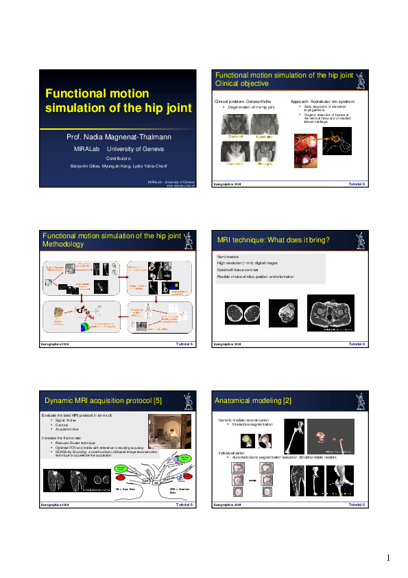 (PDF) Functional motion simulation of the hip joint