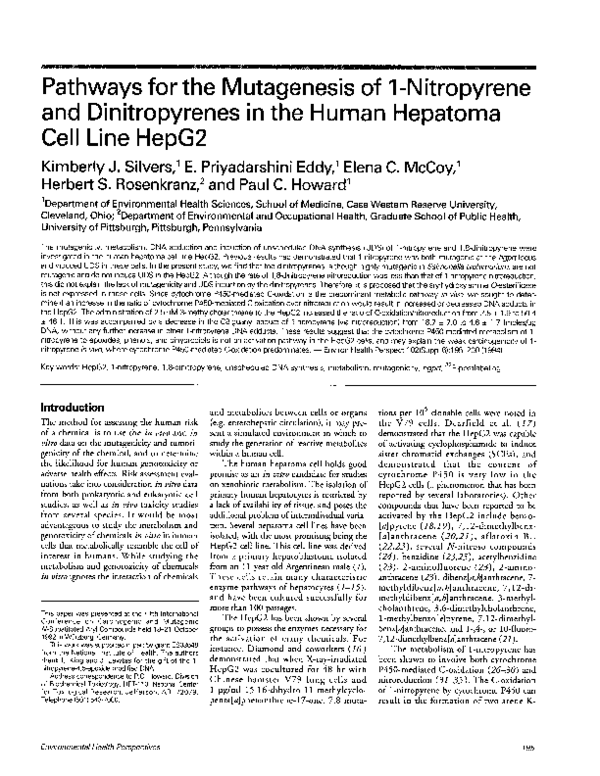 (PDF) Pathways for the Mutagenesis of 1-Nitropyrene and Dinitropyrenes ...