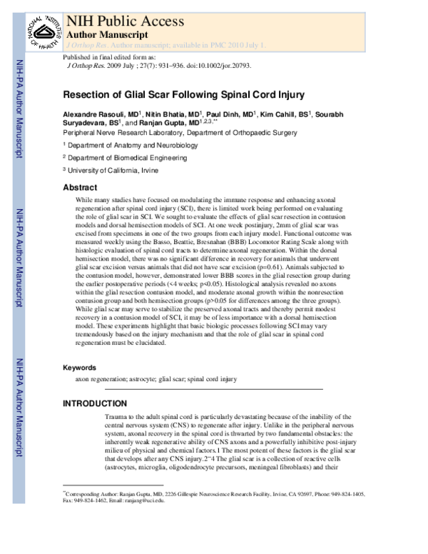 (PDF) Resection of glial scar following spinal cord injury