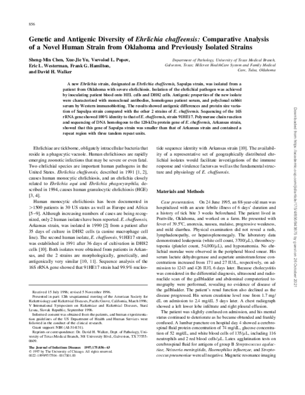 (PDF) Genetic and Antigenic Diversity of Ehrlichia chaffeensis ...