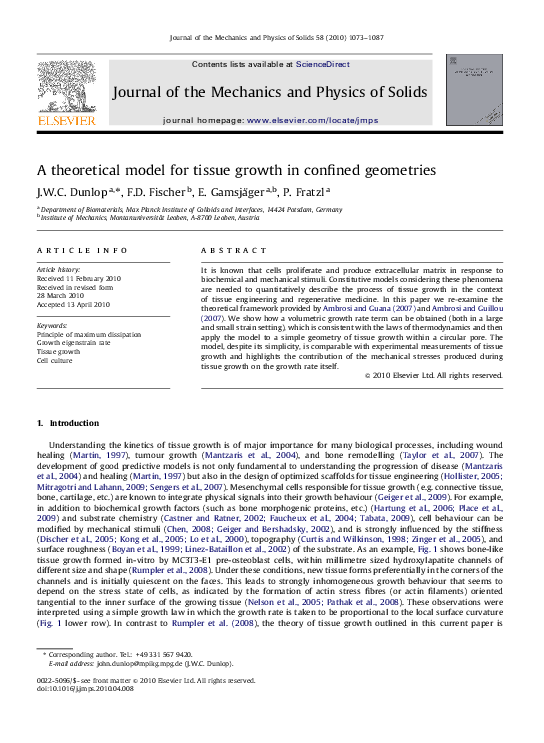(PDF) A theoretical model for tissue growth in confined geometries