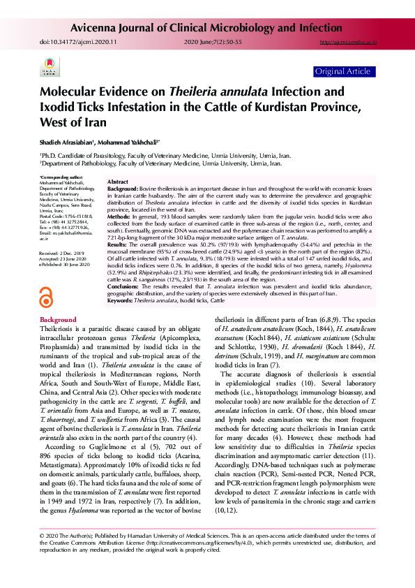 (PDF) Molecular Evidence on Theileria annulata Infection and Ixodid ...