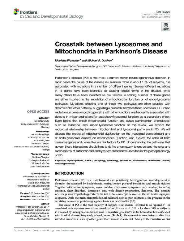 (PDF) Crosstalk between Lysosomes and Mitochondria in Parkinson's Disease