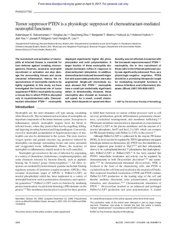 (PDF) Tumor suppressor PTEN is a physiologic suppressor of ...