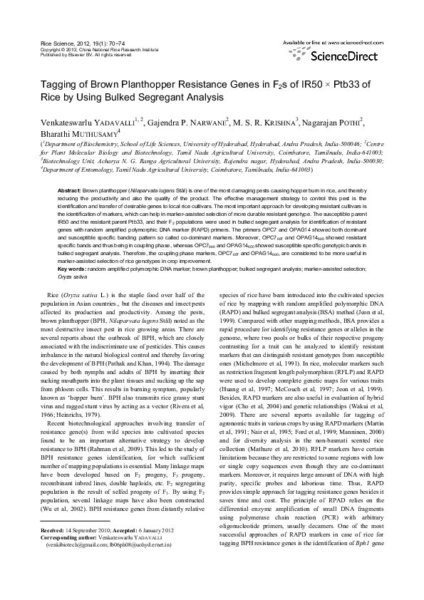 (PDF) Tagging of Brown Planthopper Resistance Genes in F2s of IR50 × ...