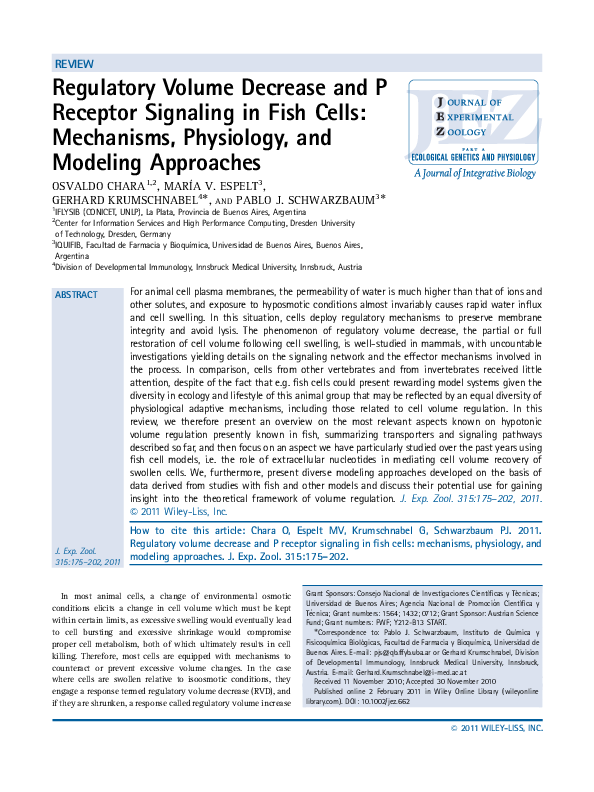 (PDF) Regulatory volume decrease and P receptor signaling in fish cells ...