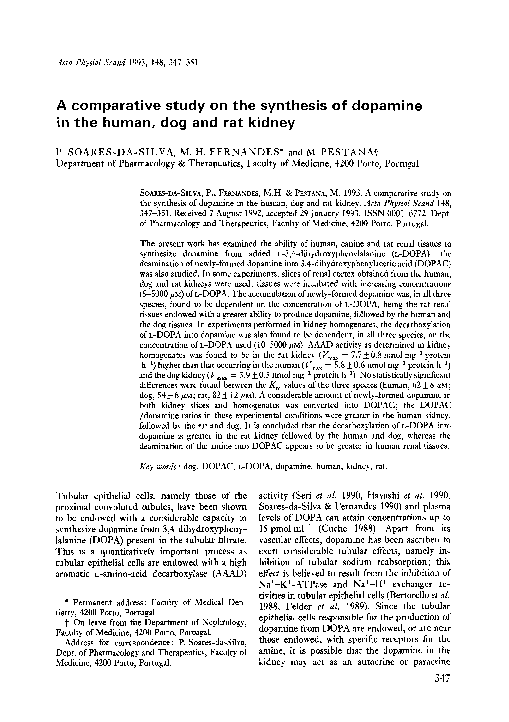 (PDF) A comparative study on the synthesis of dopamine in the human ...